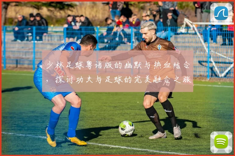 少林足球粤语版的幽默与热血结合，探讨功夫与足球的完美融合之旅