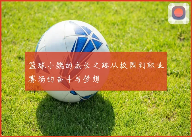 篮球小魏的成长之路从校园到职业赛场的奋斗与梦想