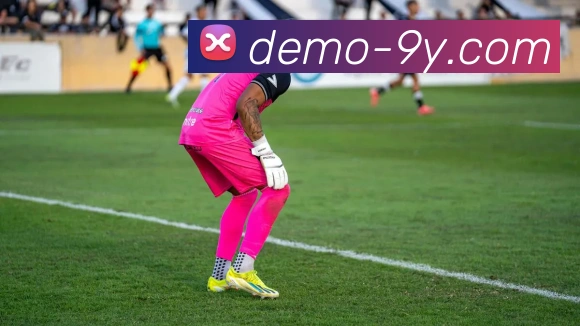 九游体育服务体系